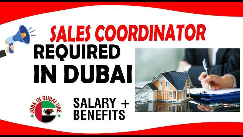 sales-coordinator-job-in-think-biz-pro-dubai