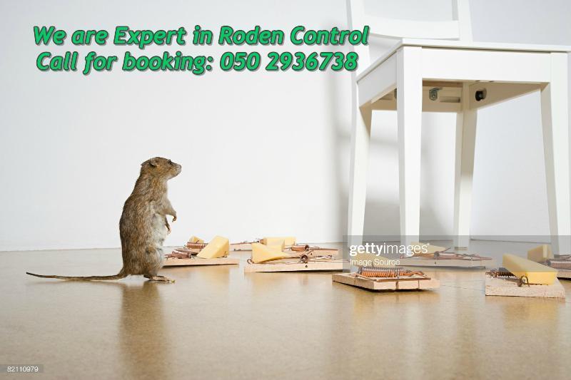 Pest Control Dubai/Professional Services Dubai Gulf Classifieds