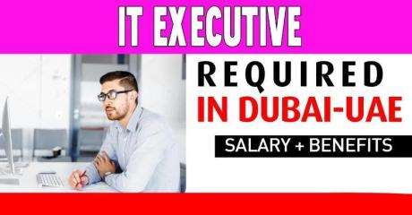 IT Executive Required in Dubai