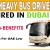 HEAVY BUS DRIVER Required in Dubai