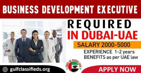 BUSINESS DEVELOPMENT EXECUTIVE REQUIRED IN DUBAI