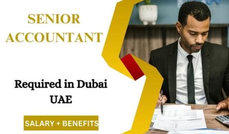 Senior Accountant Required in Dubai