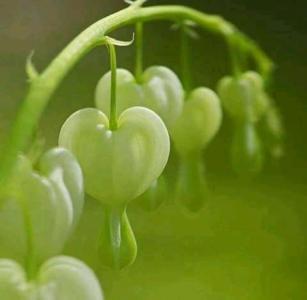 KERALA GIRLS PERSONAL SERVICES IN DUBAI