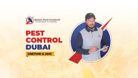 # Best & Perfect Pest Treatment – Killer Prices