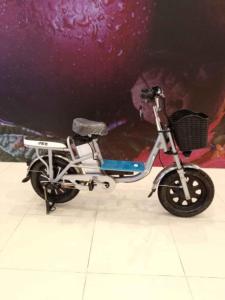 Electric bicycle