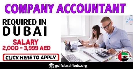 COMPANY ACCOUNTANT REQUIRED IN DUBAI
