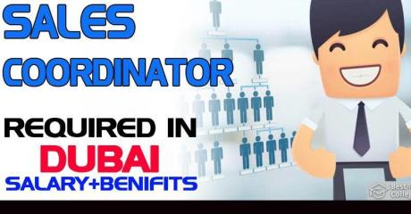 Sales Coordinator Required in Dubai