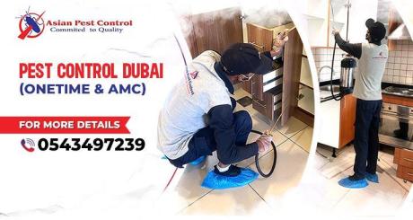 # Professional Pest Removal – Best Service & Prices!
