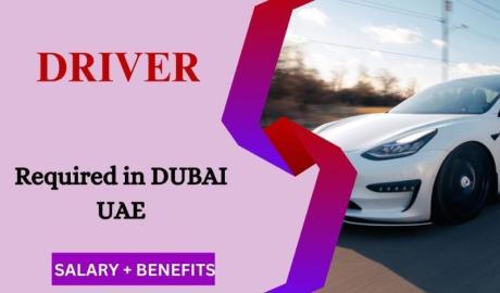 Driver Required in Dubai