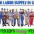 Daily Basic labor supply in Ajman Dubai Sharjah Abudhabi