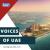 Voices of UAE: Untold Stories, Unseen Perspectives