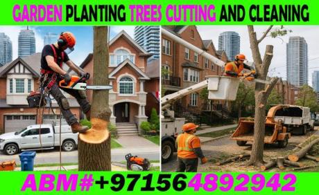Garden Trees cutting cleaning and Maintenance Contractor UAE