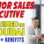 Senior Sales Executive Required in Dubai