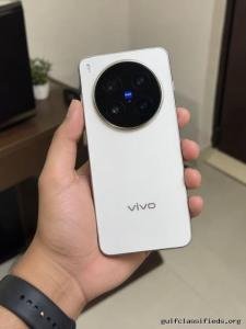 Vivo x 300 pro