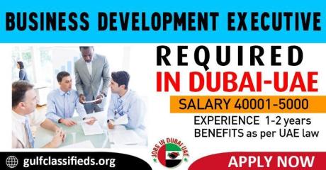 BUSINESS DEVELOPMENT EXECUTIVE REQUIRED IN DUBAI