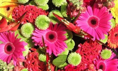 Lucky Flowers & Plants Dubai