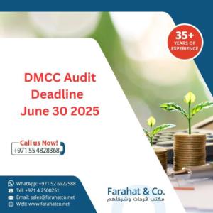 DMCC Audit Deadline June 30, 2025 - Audited Financial Statements Must be Submitted by June 30, 2025