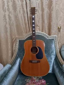 Tomson guitar with a very attractive look