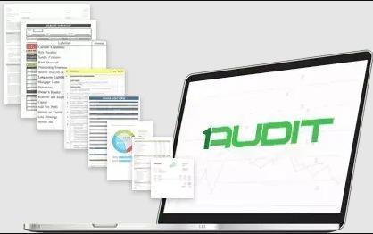 External auditor