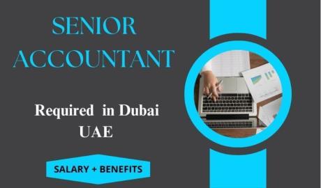 Senior Accountant Required in Dubai
