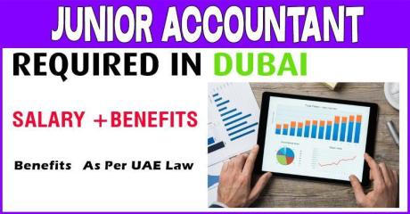 Junior Accountant Required in Dubai