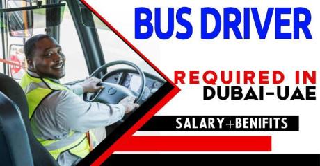 Bus Driver Required in Dubai