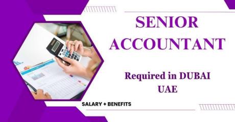 Senior Accountant Required in Dubai