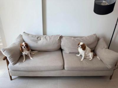 5 seater sofa for sale