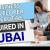 Business Developer Executive Required in Dubai