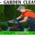 Garden cleaning & Maintenance Contractor