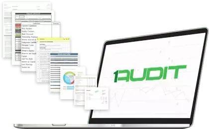 Audit Management Software