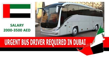 URGENT BUS DRIVER REQUIRED IN DUBAI