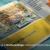 The Impact Psychology of Color in Brochure Design
