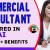 Commercial Consultant Required in Dubai