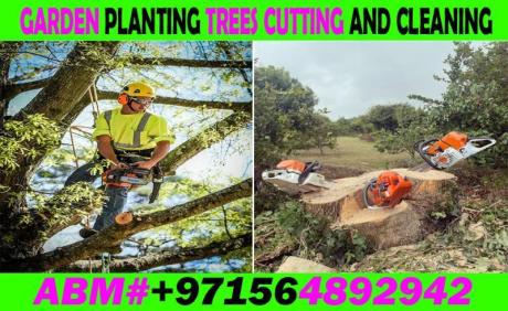 Garden cleaning Tree Cutting and Maintenance Contractor