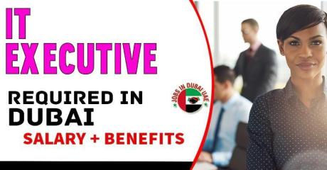 IT Executive Required in Dubai