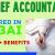Chief Accountant Required in Dubai