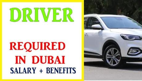Driver Required in Dubai
