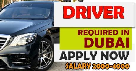 DRIVER Required in Dubai