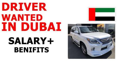 DRIVER WANTED IN DUBAI