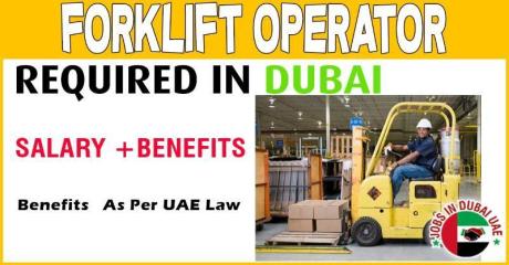 Forklift Operator Required in Dubai