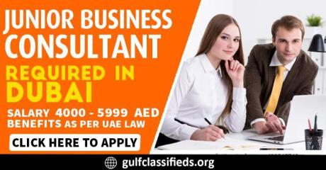 JUNIOR BUSINESS CONSULTANT REQUIRED IN DUBAI