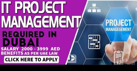 Information Technology Project Management (Intern/Entry level) Required in Dubai