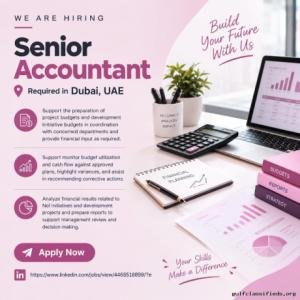 Senior Accountant Required in Dubai