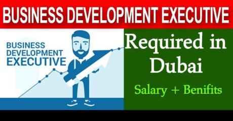 Business Development Executive (Delivery Services) Required in Dubai