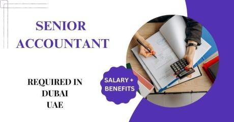 Senior Accountant Required in Dubai