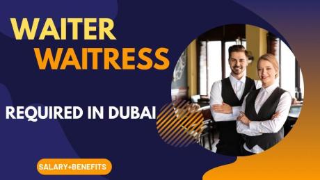 Waiter / Waitress Required in Dubai
