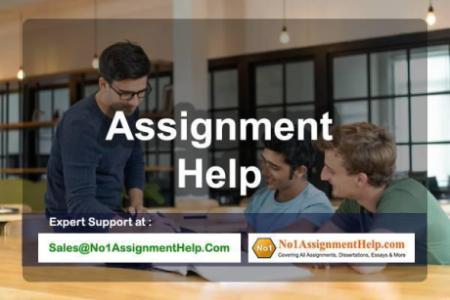 Visit The Best Assignment Help Company – No1AssignmentHelp.Com