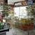 Running FoodStuff Shop for sale