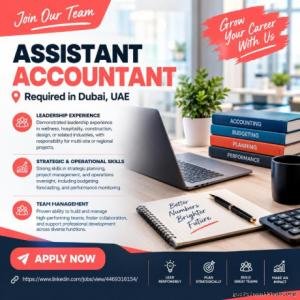 Assistant Accountant Required in Dubai